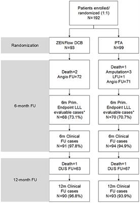 A Multicenter Randomized Trial Assessing ZENFlow Carrier-Free Drug-Coated Balloon for the Treatment of Femoropopliteal Artery Lesions
